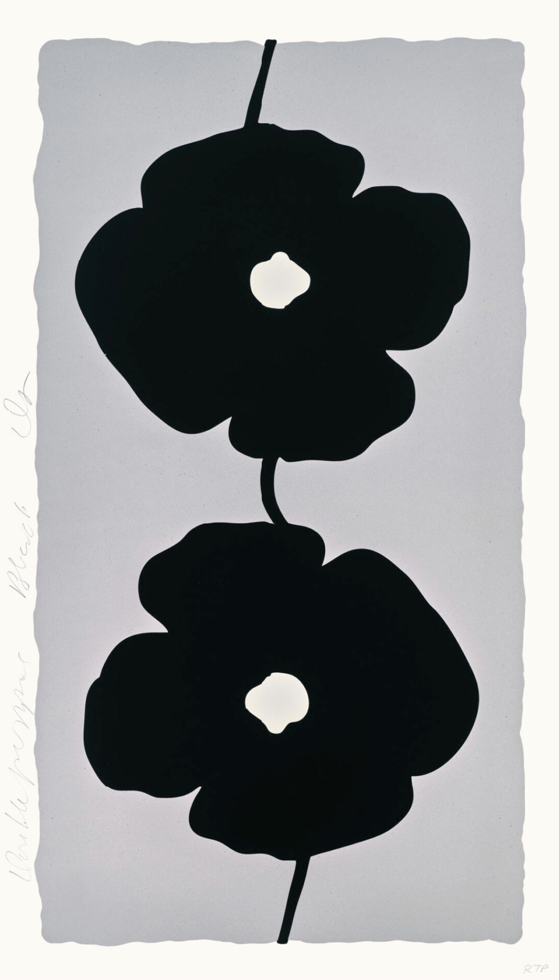 Donald Sultan – Double Poppies Black, 2025 – Gemengde techniek.