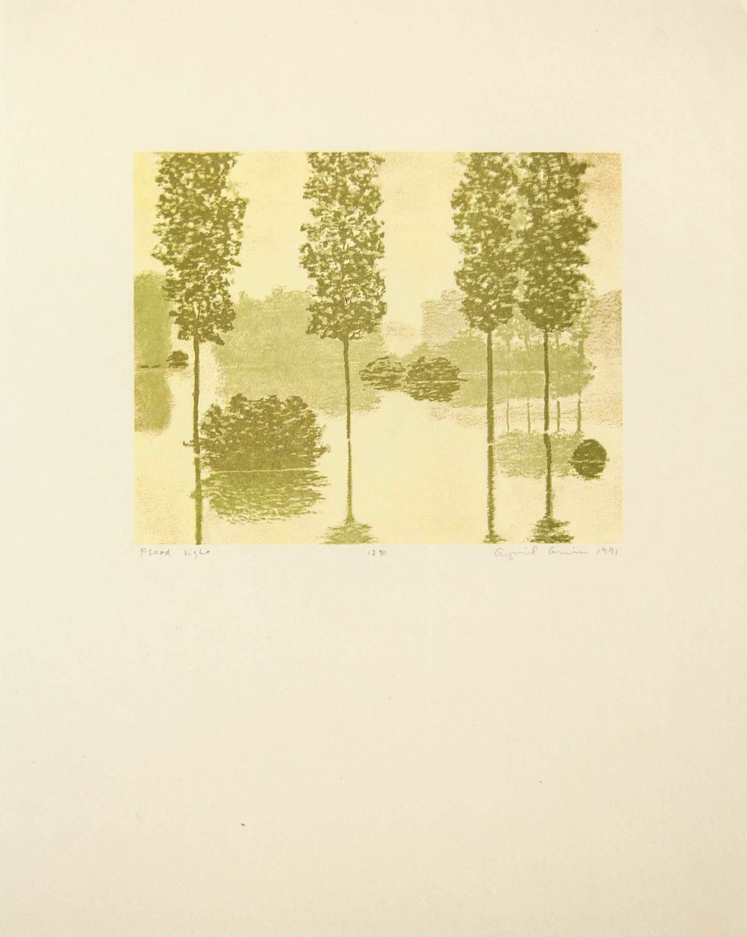 April Gornik – Flood Light, from Art Pro-Choice II, 1991 – Impression en relief?