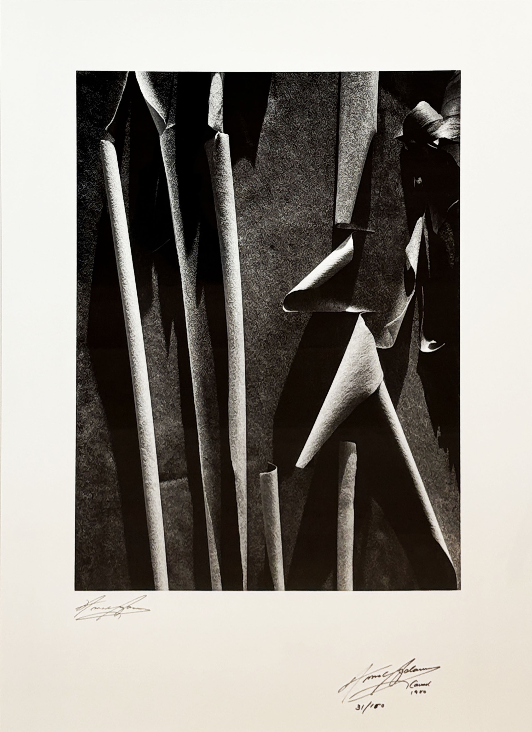 Ansel Adams – Madrone Bark from The Presidential Portfolio, 1980 – Foto