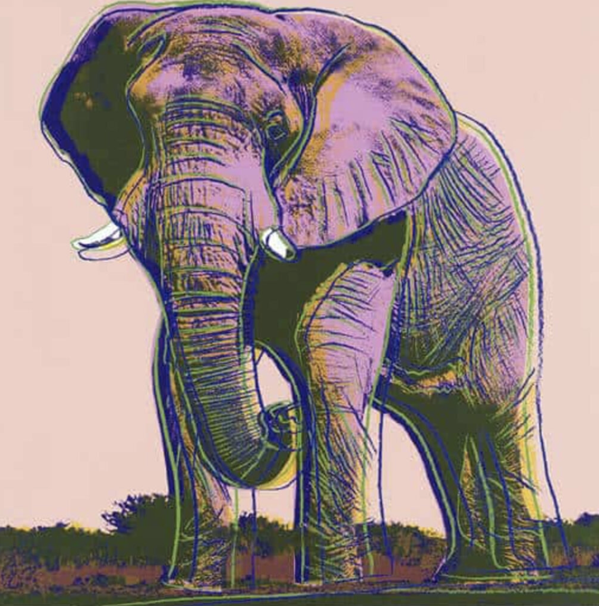 Andy Warhol – African Elephant (FS II.293), 1983 – Sérigraphie (Screen-print)