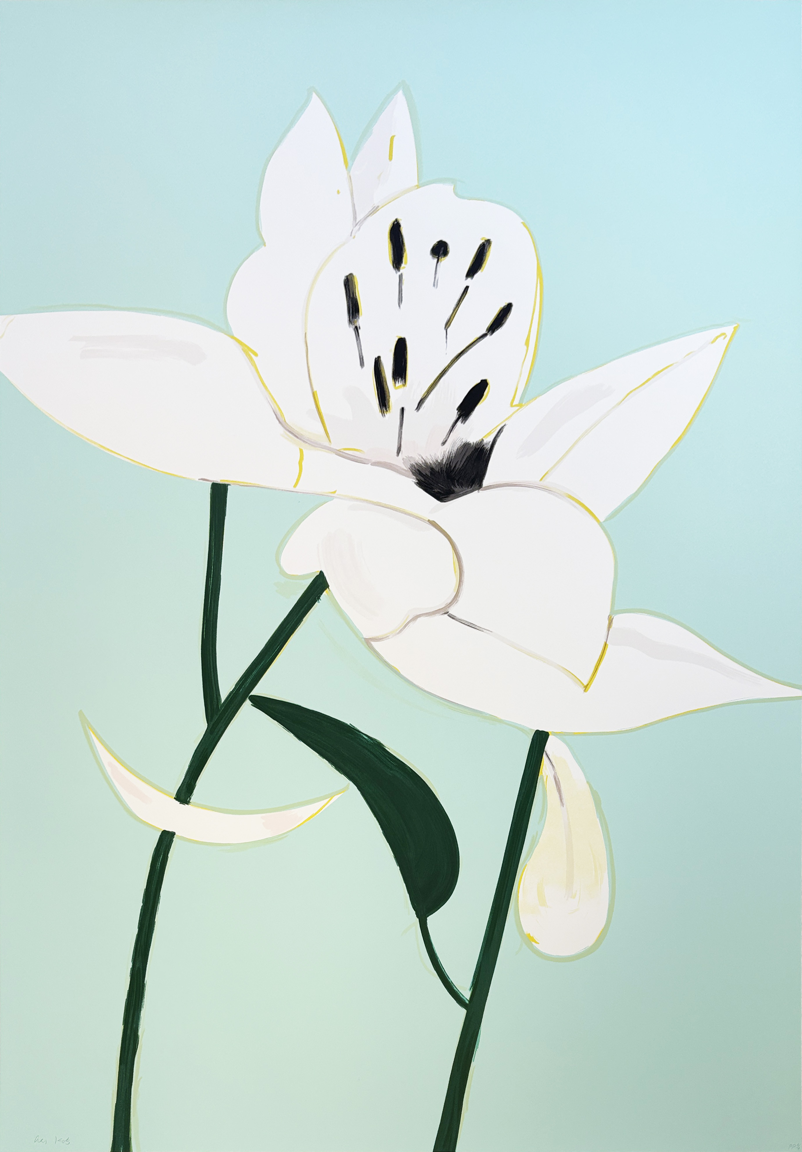 Alex Katz – White Lilies 3, 2025 – Siebdruck