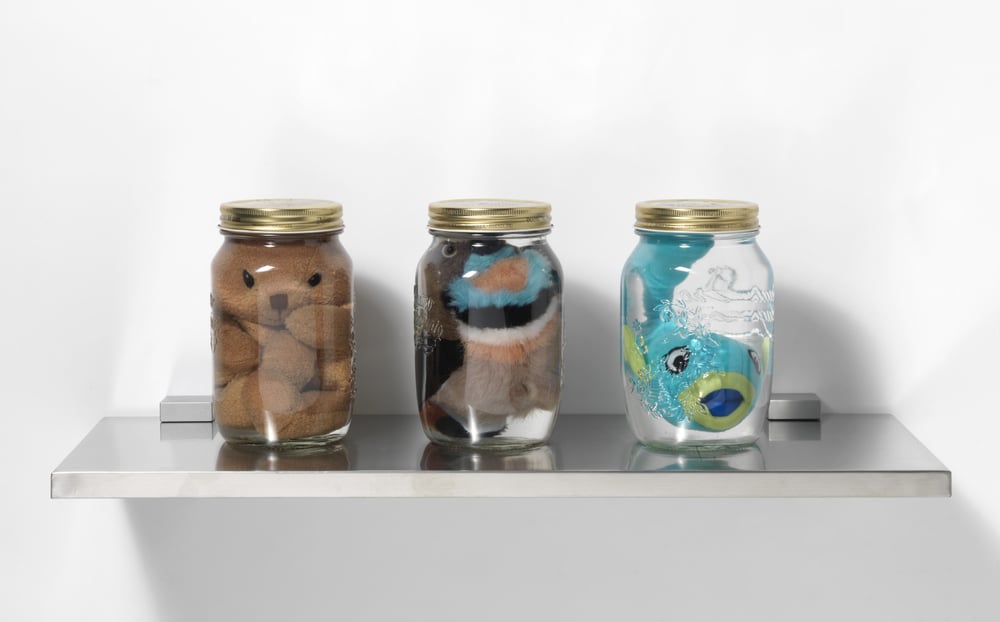 Baxter, Iain | Animal Preserve: The 3 Kingdoms, 2008 — available on Composition Gallery