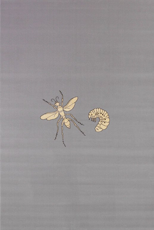 Fabre, Jan | Fly, 2002 — available on Composition Gallery