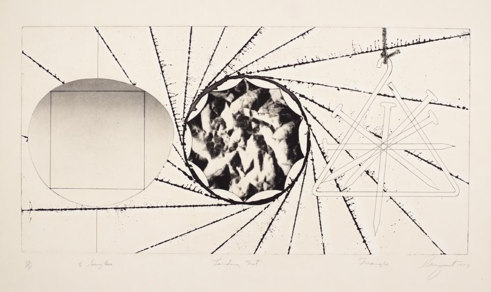 Rosenquist, James | Sunglass Lens - Landing Net - Triangle, 1974 — available on Composition Gallery
