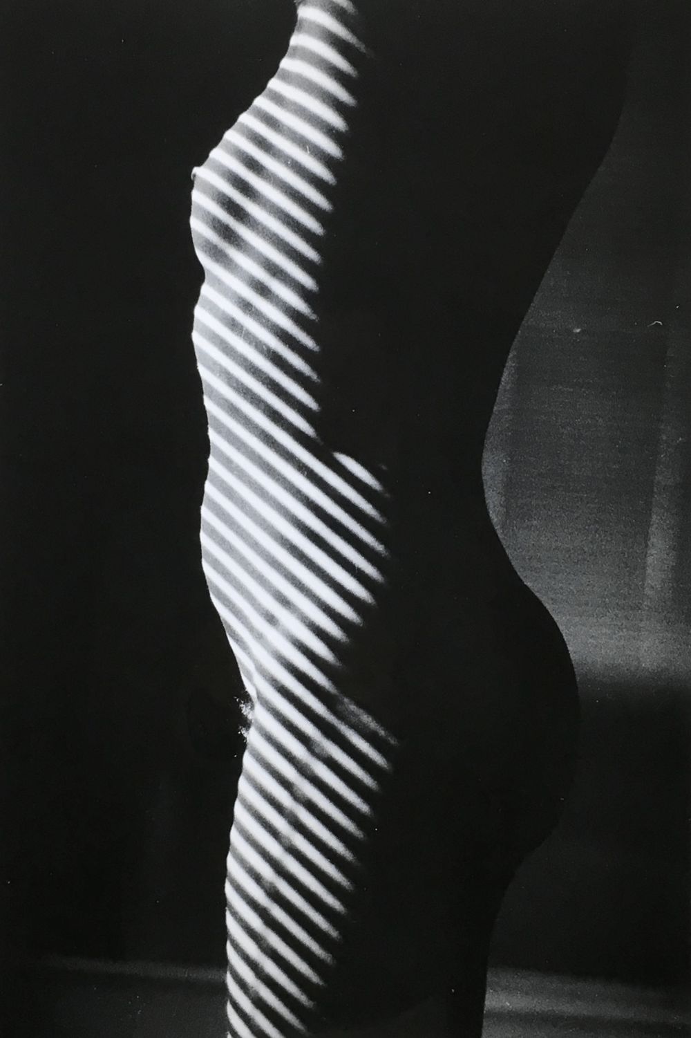 Gibson, Ralph | Tropism L'anonyme , 1981 — available on Composition Gallery
