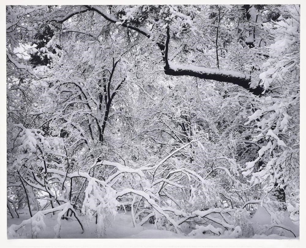 Adams, Ansel | Fresh Snow, 1974 — available on Composition Gallery