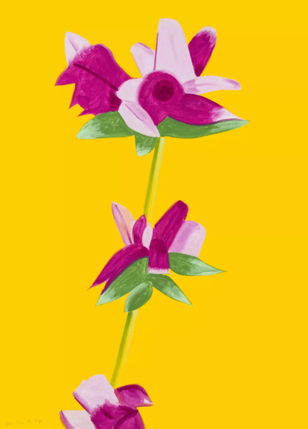 Katz, Alex | Azaleas on Yellow, 2021 — available on Composition Gallery