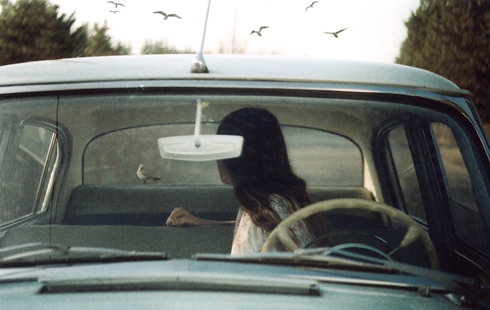 Sitchinava, Mariam | Birds, 2013 — available on Composition Gallery