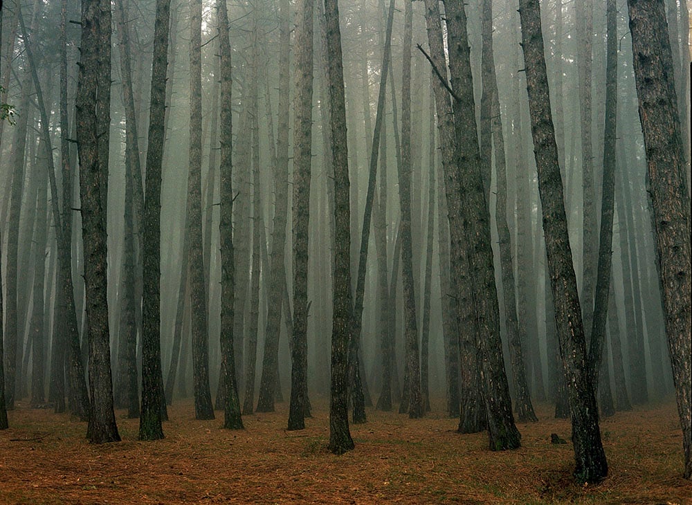 Sitchinava, Mariam | Fog in September 2, 2021 — available on Composition Gallery