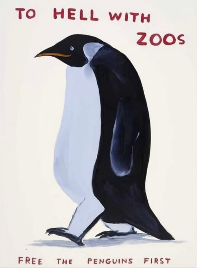 Shrigley, David | To Hell With Zoos, 2021 — available on Composition Gallery