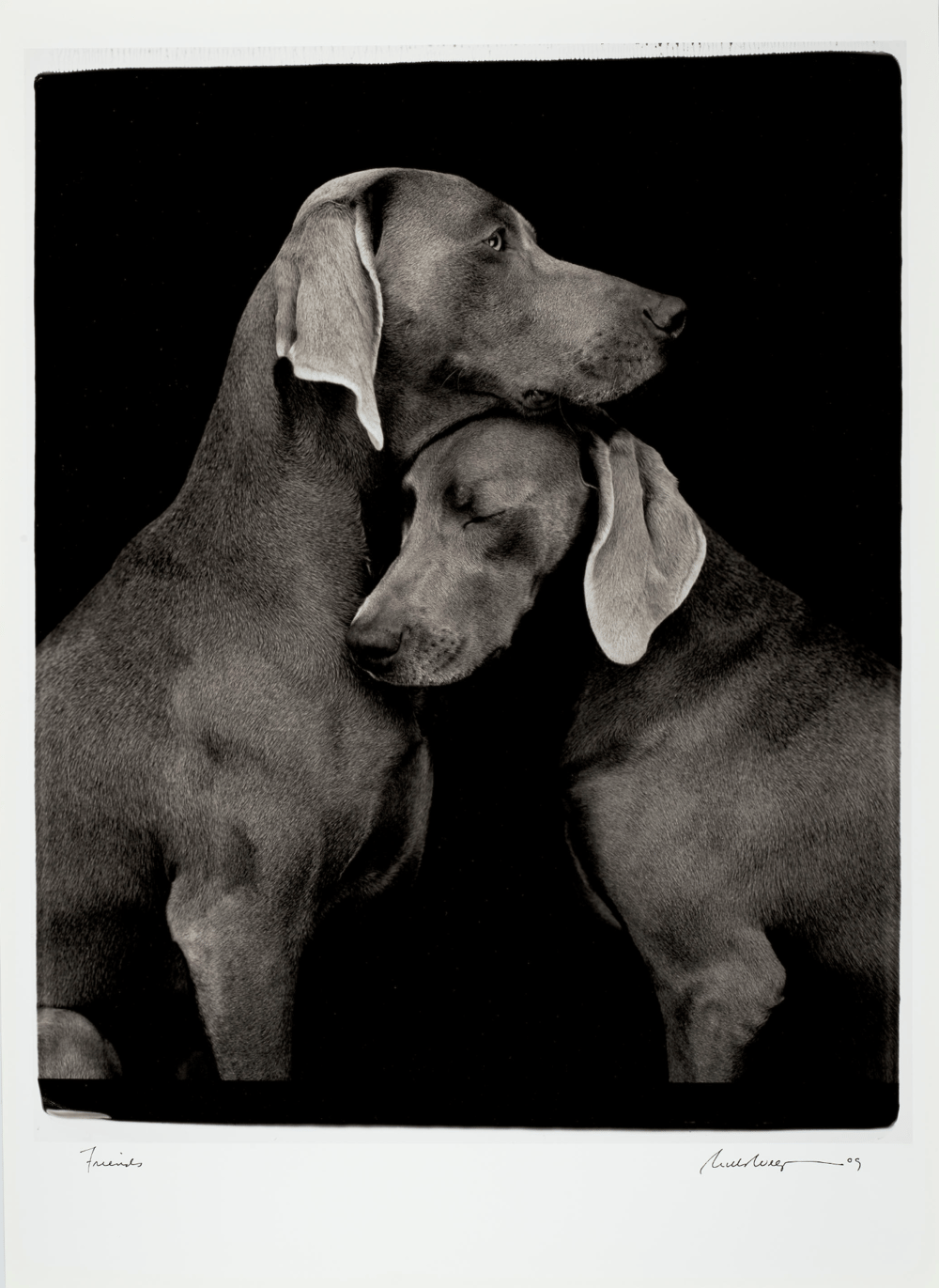 Wegman, William | Friends, 2010 — available on Composition Gallery