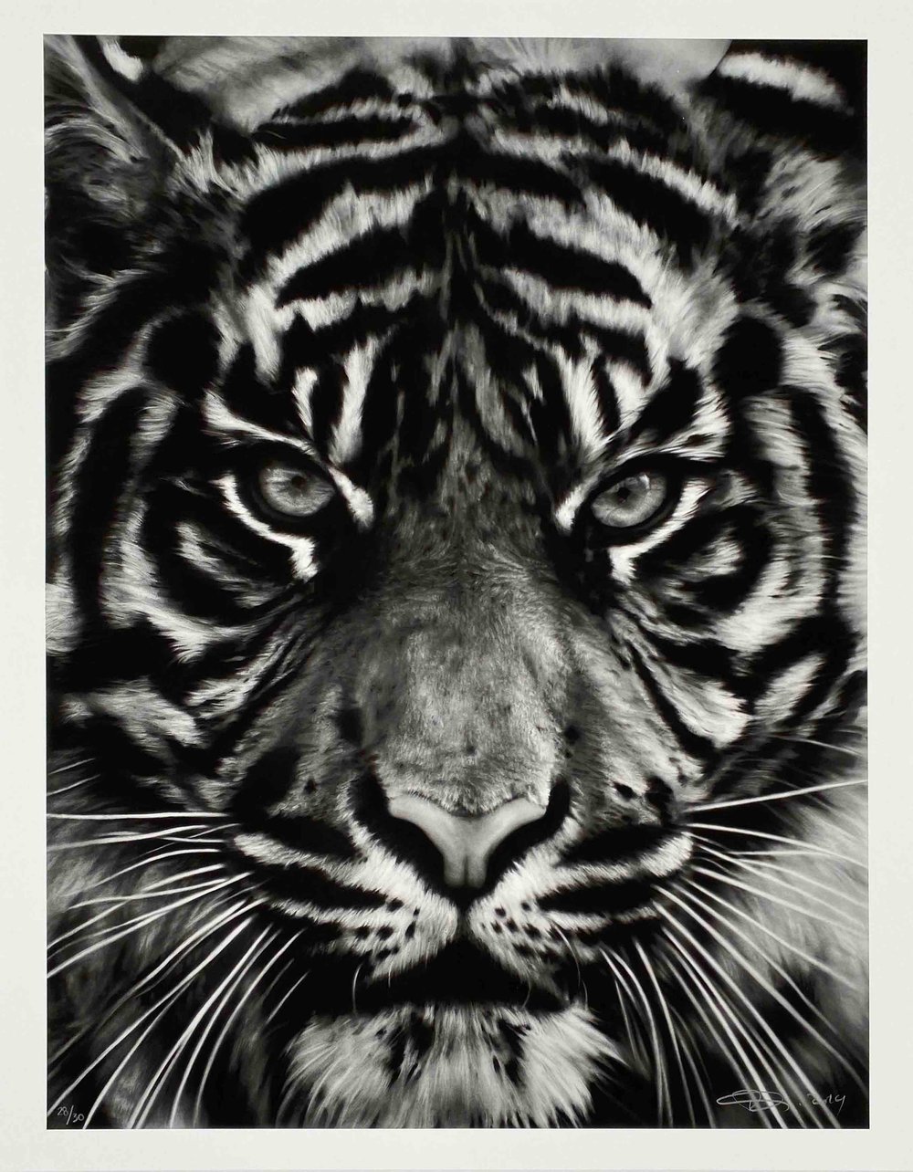 Longo, Robert | Untitled (Tiger II), 2014 — available on Composition Gallery Longo, Robert | Untitled (Tiger II), 2014 — available on Composition Gallery