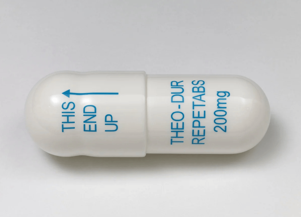 Hirst, Damien | Theo-Dur Repetabs 200mg, 2014 — available on Composition Gallery