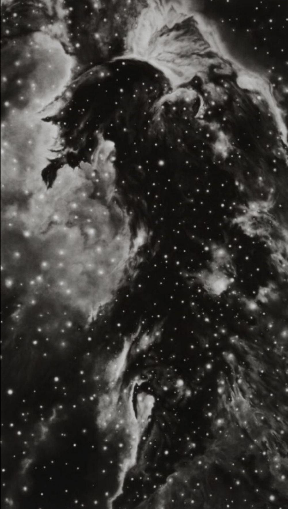 Longo, Robert | Horsehead Nebula, 2008 — available on Composition Gallery