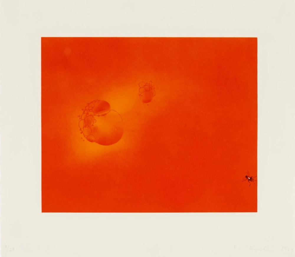 Ruscha, Ed | Boiling Blood, Fly, 1969 — available on Composition Gallery