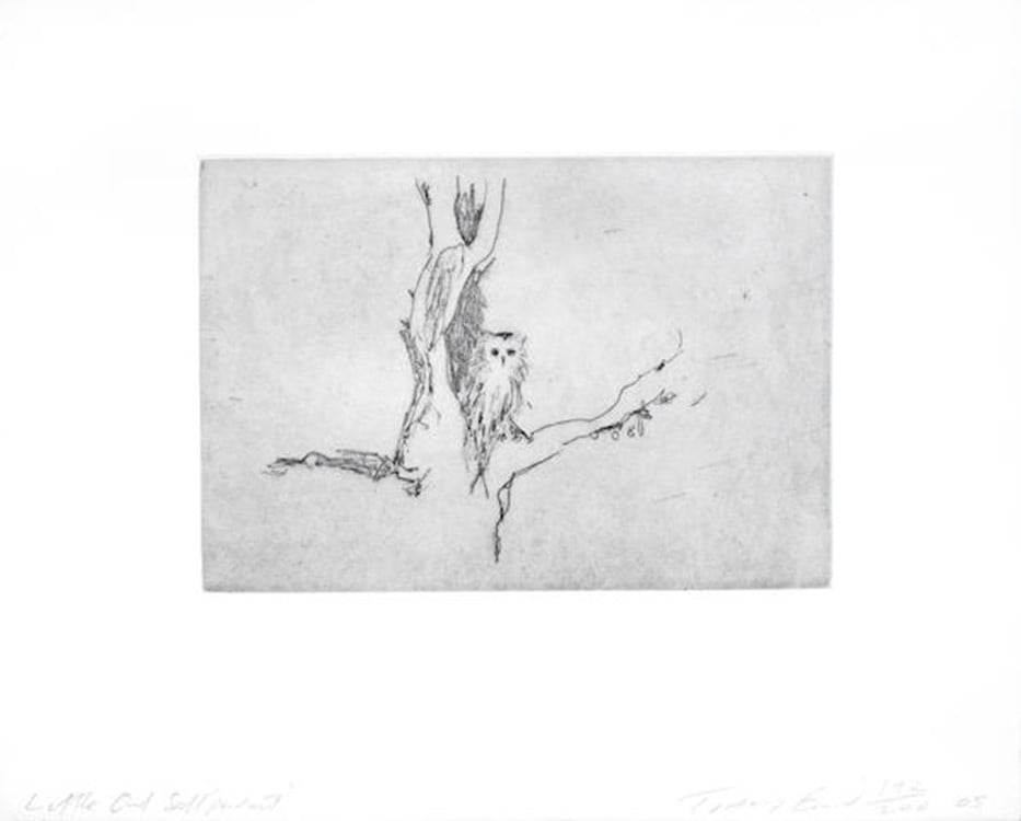 Emin, Tracey | Little Owl (Self Portrait), 2005 — available on Composition Gallery