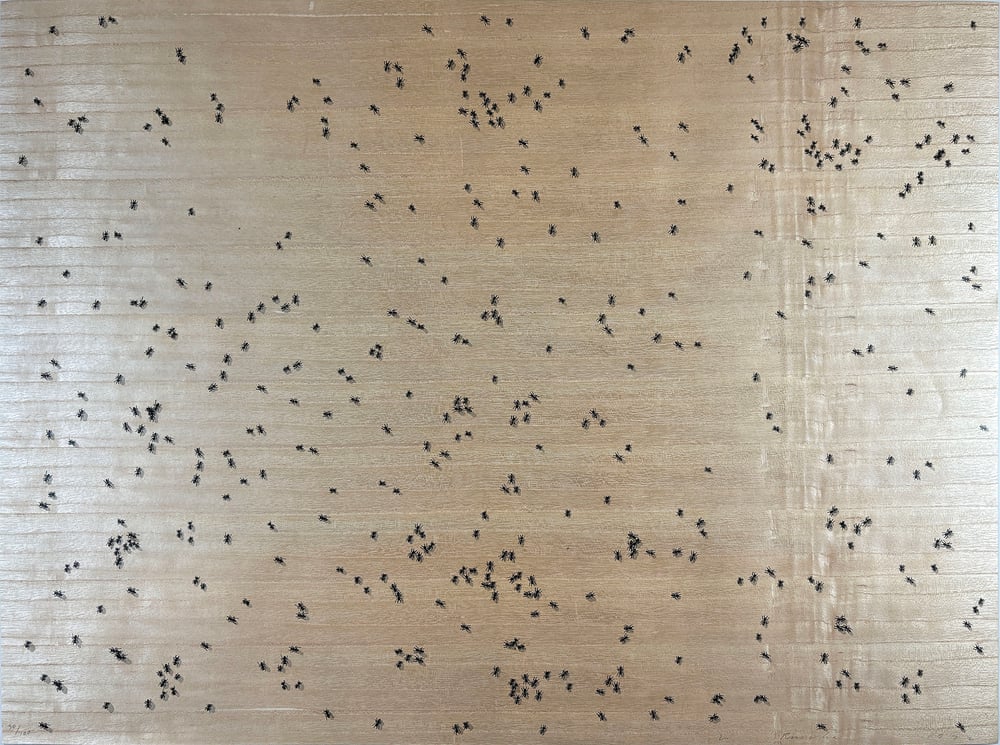 Ruscha, Ed | Black Ants from the Insects Portfolio, 1972 — available on Composition Gallery