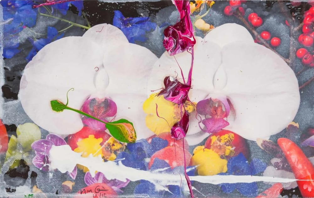 Quinn, Marc | Orchids, 2012 — available on Composition Gallery