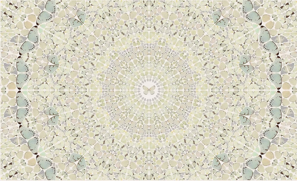 Hirst, Damien | Intricacy from the Kaleidoscopes, H18-5, 2024 — available on Composition Gallery