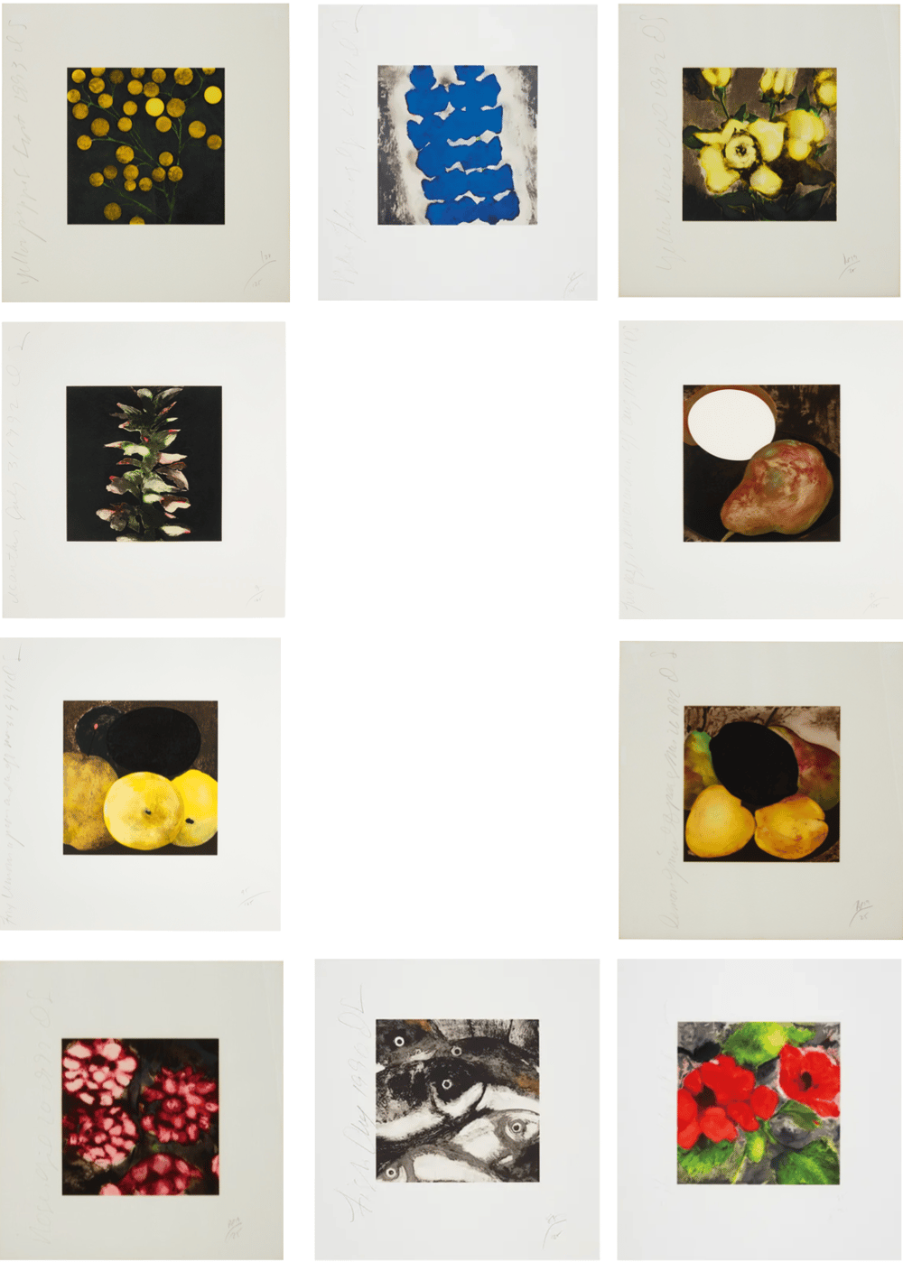 Sultan, Donald | Fruit & Flowers, 1990’s — available on Composition Gallery