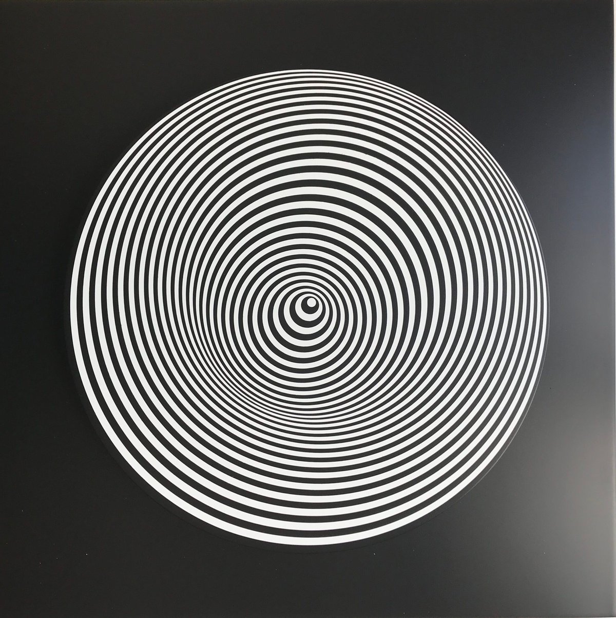 Artwork © Marina Apollonio - Dinamica Circolare 6 S+S, 1966-2020