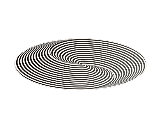 Artwork © Marina Apollonio - Dinamica Circolare Ellisse 6Z, 1969-2022