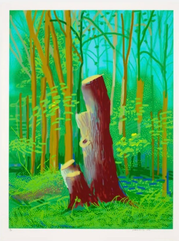 Artwork © David Hockney - The Arrival of Spring in Woldgate, East Yorkshire in 2011 - 24 April, 2011