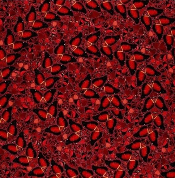 Damien Hirst  - The Empresses (H10-5 Taytu Betul), 2022