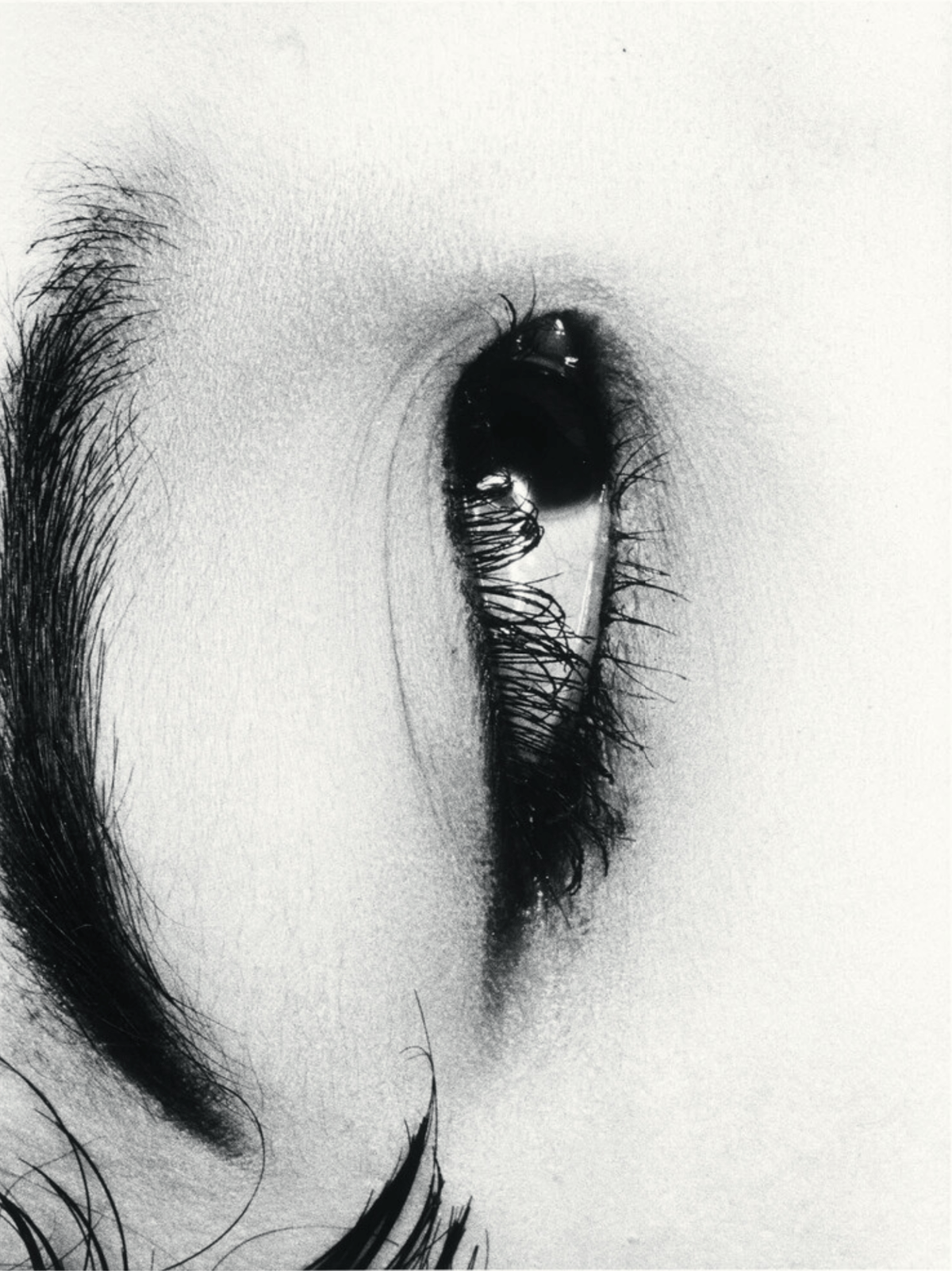 Nobuyoshi Araki - Untitle from Erotos, 1993