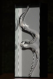 Formes en Contorsions 