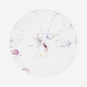 Circle Spin Painting
