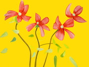 The flowers portfolio (7 works)