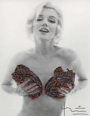 Marilyn Red Classic Charcoal Roses