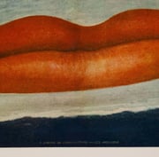 À l’heure de l’observatoire – Les amoureux
