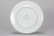 Rosenthal plate 2