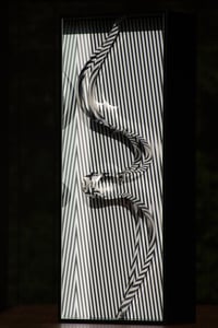 Julio Le Parc – Formes en Contorsions, 1967 - 2018 – Mischtechnik