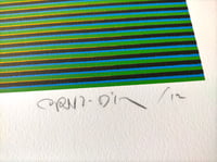 Carlos Cruz-Diez – Medellín 2, 2013 – Serigrafía
