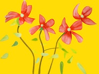 Alex Katz – The flowers portfolio (7 works), 2021 – Archiv-Druck