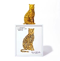 David Shrigley – I Cannot Change My Spots but I Have No Desire to Change My Spots, 2022 – Céramique