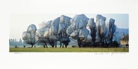 Javacheff Christo – Wrapped Trees Portfolio, 1997-1998 – Foto