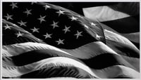Robert Longo – Flag (Old Glory), 2013 – Pigmentdruck