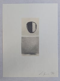 Luc Tuymans – Het versluierd beeld, 2001 – Zeefdruk