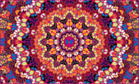 Damien Hirst – Harlequin from The Kaleidoscopes H18-1, 2024 – Giclée-Druck