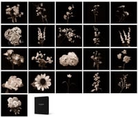 Vik Muniz – Flora Industrialis B/N, 2026 – Foto