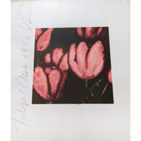 Donald Sultan – Fruit & Flowers, 1990’s – Screen-print