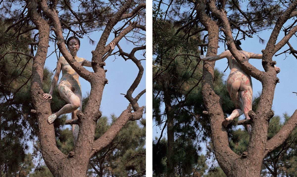 Yan, Huang | Pinaster Landscape Diptych, 2007 — available on Composition Gallery