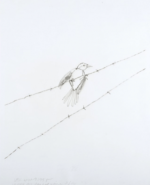 Muniz, Vik | Vireo on Barbed Wire, 1995 — available on Composition Gallery