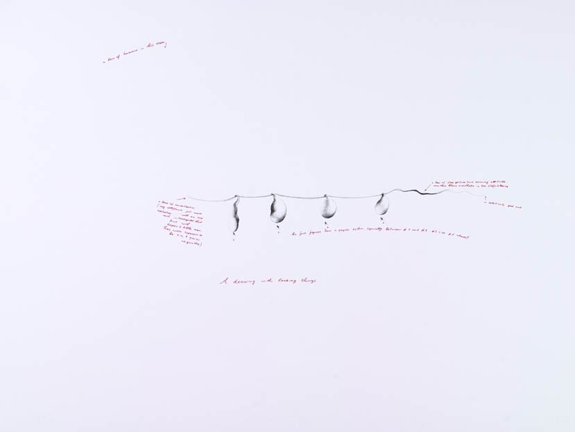 Solakov, Nedko | A Drawing with Lacking Things, 2004 — available on Composition Gallery