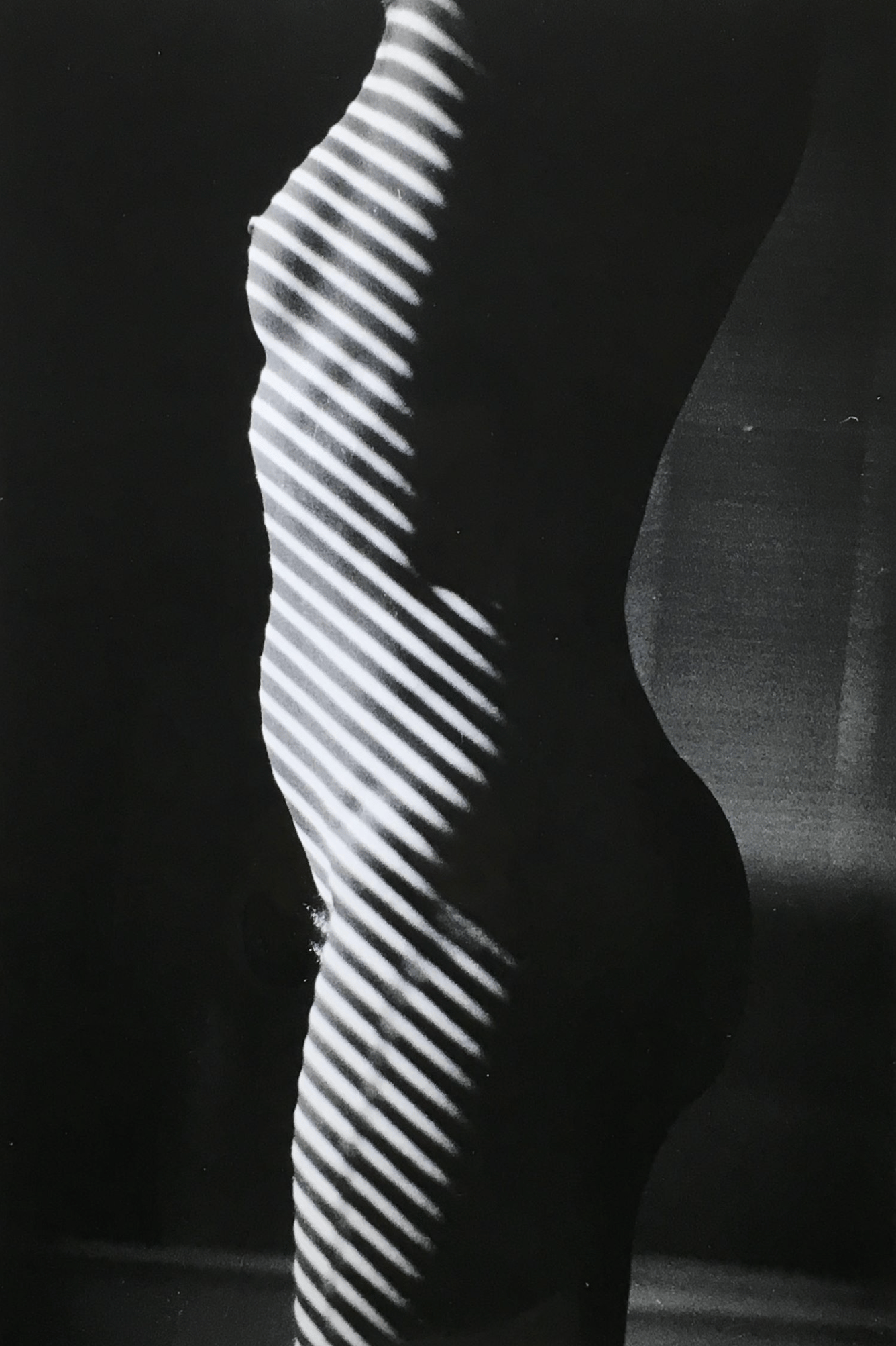Gibson, Ralph | Tropism L'anonyme , 1981 — available on Composition Gallery