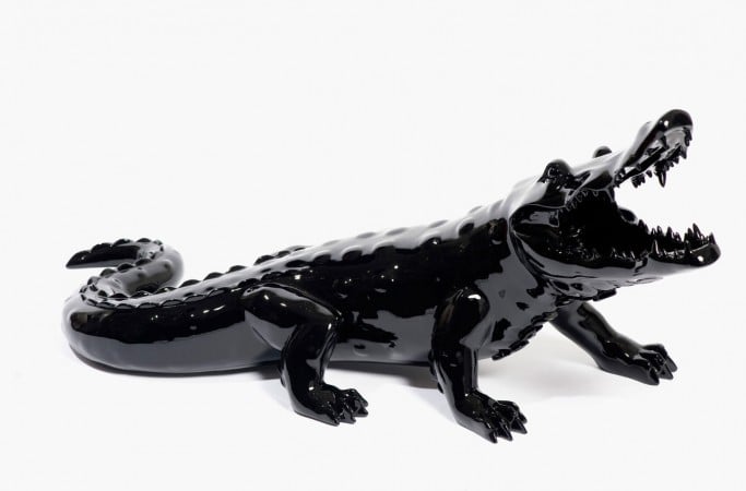 Born Wild Crocodile (Black)